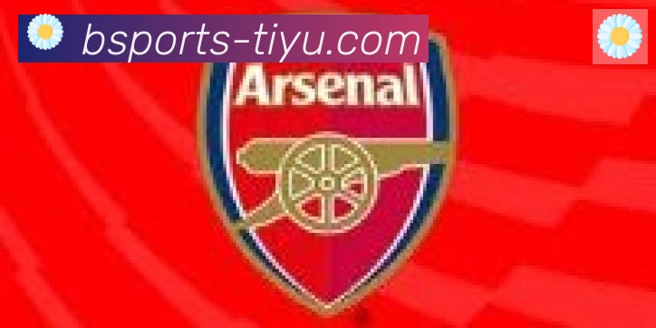 Bsports官网合作伙伴